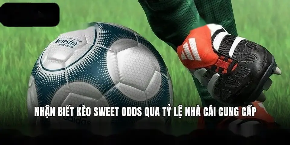 8xbet bóng đá – 5 Chiến Lược Cá Cược Đua Ngựa 8xbet Kiếm Tiền | vaosc88 bóng đá 5 Chiến Lược Cá Cược Đua Ngựa 8xbet Kiếm Tiền Thực Sự | 8xbet bóng đá | vaosc88 bóng đá