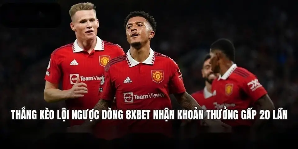 Cách Trở Thành Thành Viên Vip 8xbet & Nhận Thưởng Vip Khủng | 8xbet bóng đá | vaosc88 bóng đá