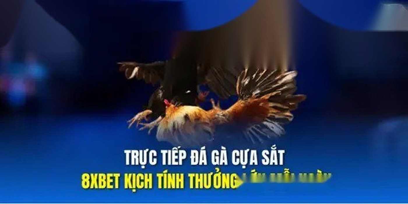 8xbet wala – 8XBET Trực Tiếp Đá Gà Thomo – 3 Loại Hình Nhất | vaosc88 wala 8XBET Trực Tiếp Đá Gà Thomo – 3 Loại Hình Nhất Định Phải Thử | 8xbet wala | vaosc88 wala