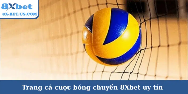 Trang cá cược bóng chuyền top 3 nền tảng uy tín, chất lượng | 8xbet kèo châu á | vaosc88 kèo châu á