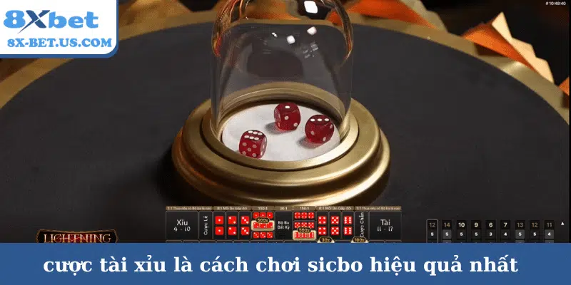 Cách chơi Sicbo hiệu quả nhất – Chiến thuật kiếm lời ổn định | 8xbet tiến lên | vaosc88 tiến lên